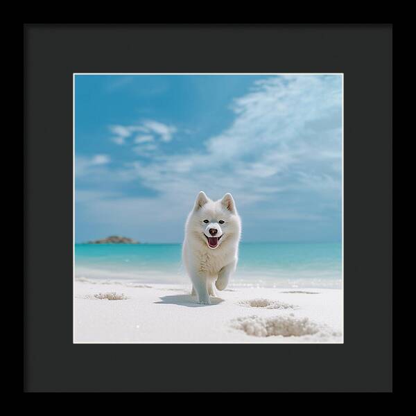 White Sands Wanderer - Framed Print