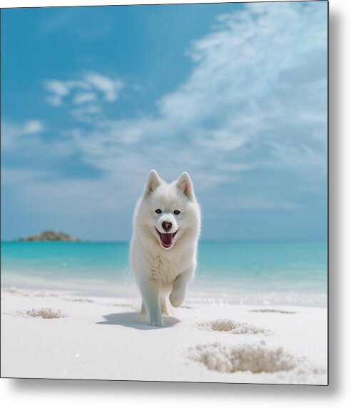 White Sands Wanderer - Metal Print