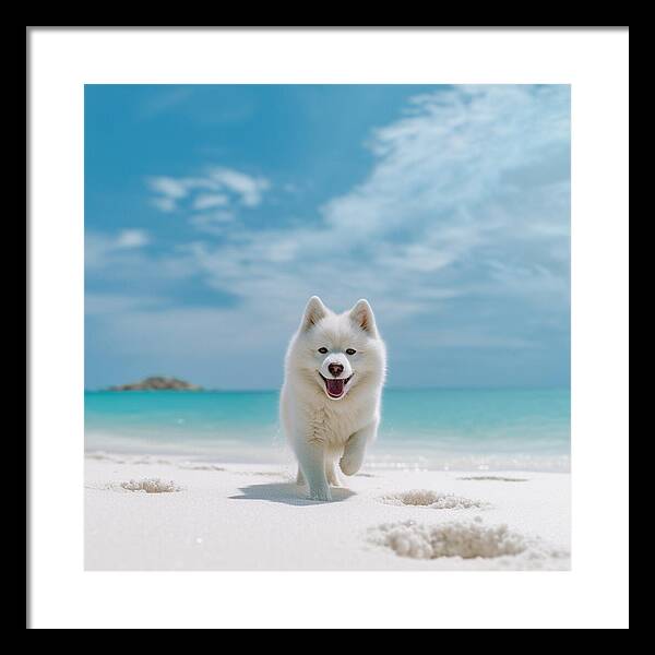 White Sands Wanderer - Framed Print