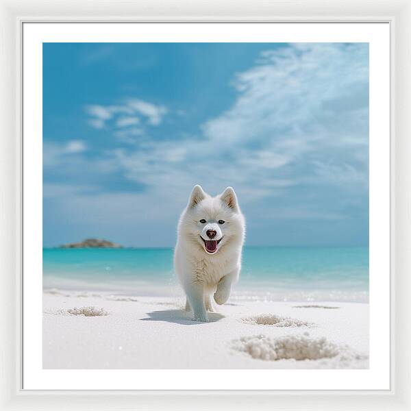 White Sands Wanderer - Framed Print