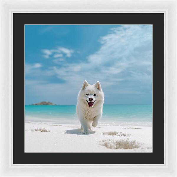 White Sands Wanderer - Framed Print