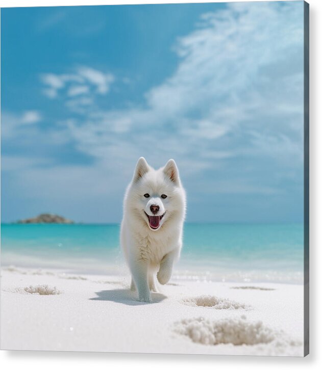 White Sands Wanderer - Acrylic Print