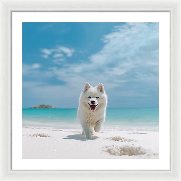 White Sands Wanderer - Framed Print