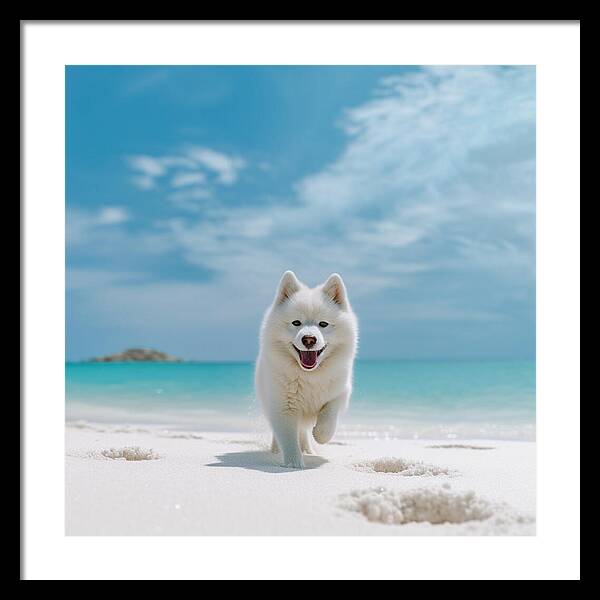 White Sands Wanderer - Framed Print