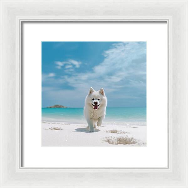 White Sands Wanderer - Framed Print