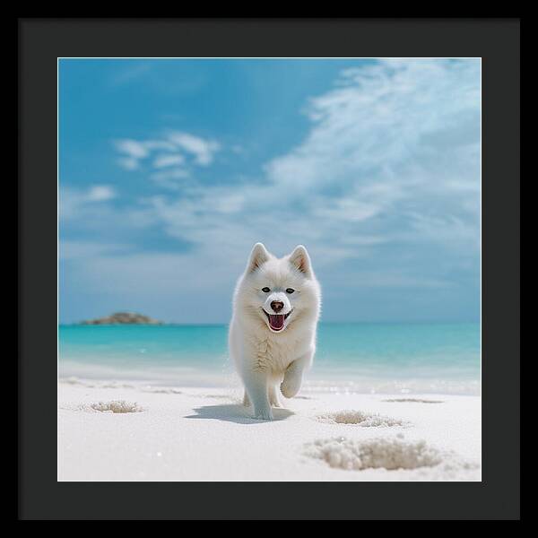 White Sands Wanderer - Framed Print