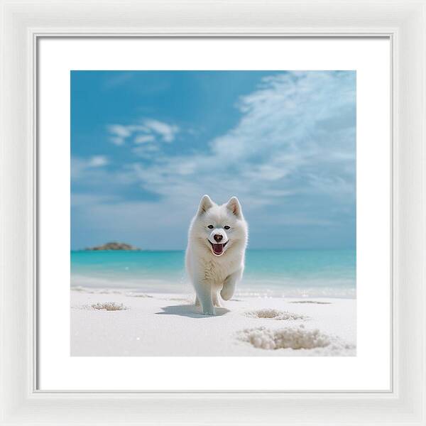 White Sands Wanderer - Framed Print