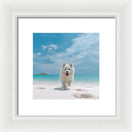 Switch White Sands Wanderer - Framed Print 3 image