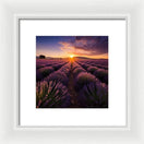 Switch Lavender Fields - Framed Print 3 image